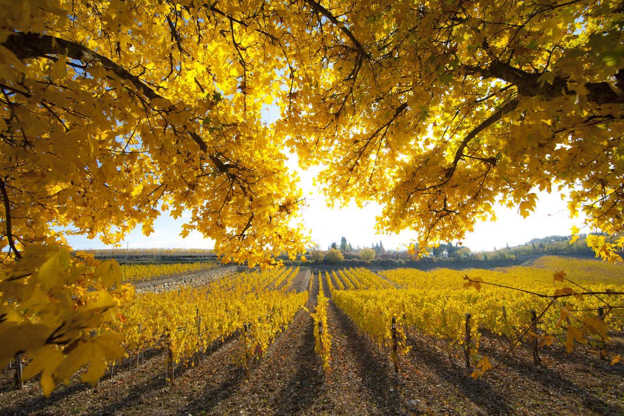 Le Suites Di Castello Di Ama Gaiole in Chianti Ngoại thất bức ảnh
